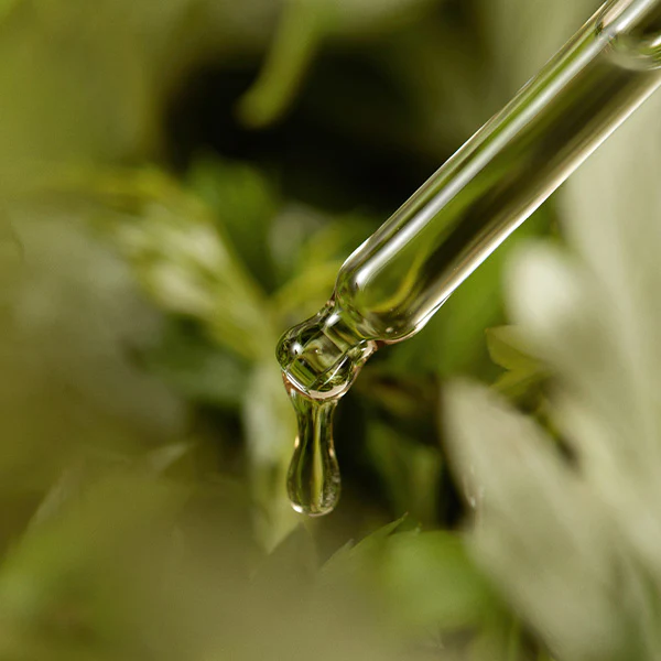 ImFrom Mugwort Serum 30ml - Image 8