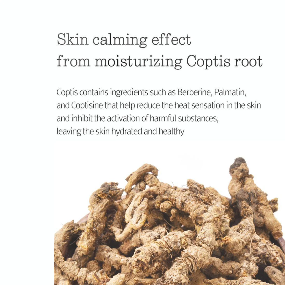 PyunkangYul Moisture Cream 100ml - Image 9