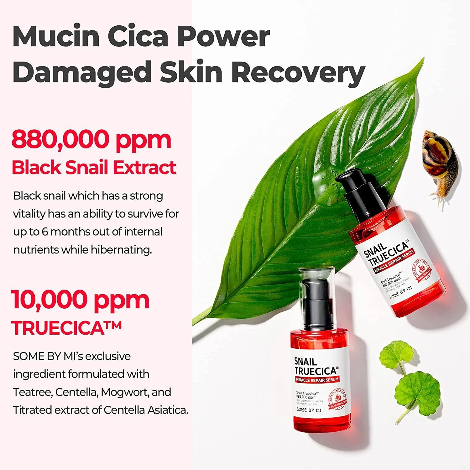 SomeByMi SNAIL TRUECICA MIRACLE REPAIR SERUM 50ml - Image 7